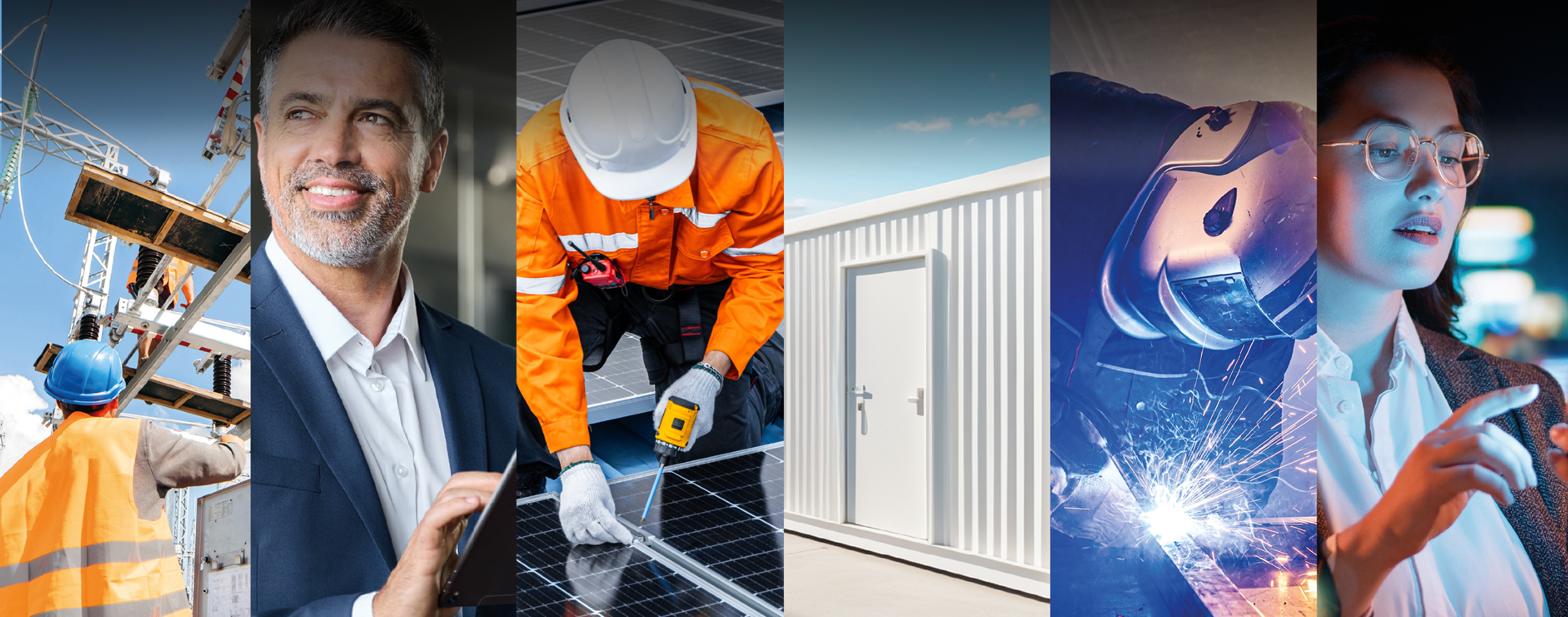 Colaj cu produsele și serviciile Electroalfa